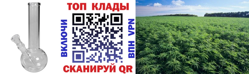 Продажа наркотиков Дубна Cocaine  Меф мяу мяу  МЕТАМФЕТАМИН  Конопля  Alpha PVP 