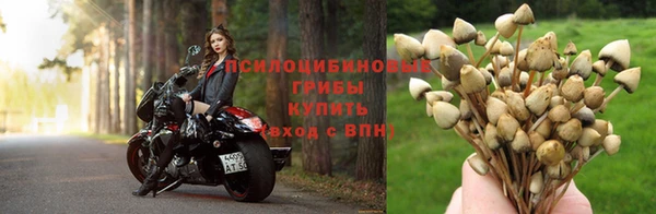 дживик Абдулино