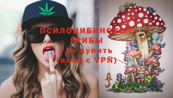 гашик Алексеевка