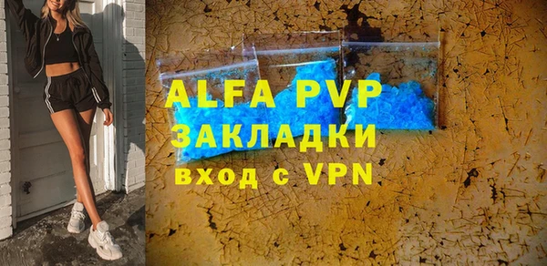 стаф Алексин