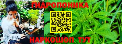 шишки Краснодар