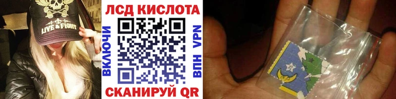 kraken как войти купить сайты Дубна Марки NBOMe 1500мкг