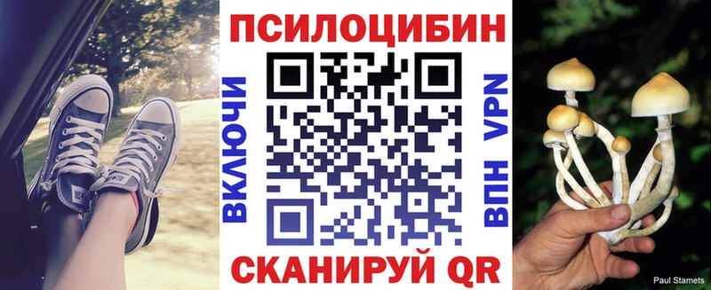 Галлюциногенные грибы прущие грибы  Дубна 