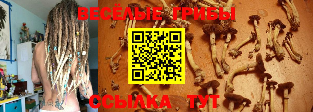 Галлюциногенные грибы Psilocybe  Галлюциногенные грибы Magic Shrooms  Вход с VPN  магазин  наркотиков  Дубна 